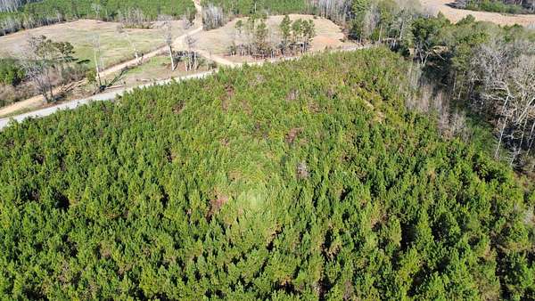 25 Acres of Recreational Land for Sale in Millport, Alabama