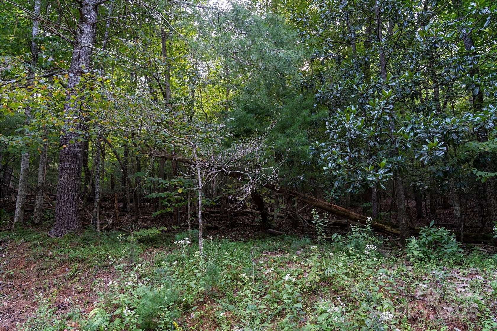 1.59 Acres of Land for Sale in Lake Lure, North Carolina