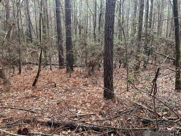 8 Acres of Residential Land for Sale in Converse, Louisiana