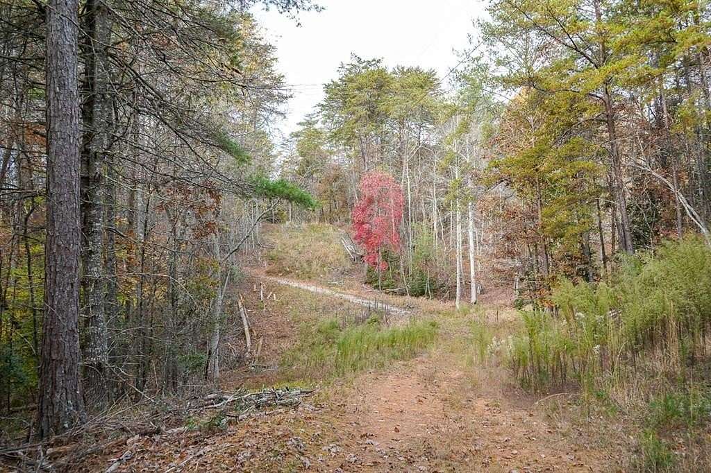 Residential Land for Sale in Blairsville, Georgia
