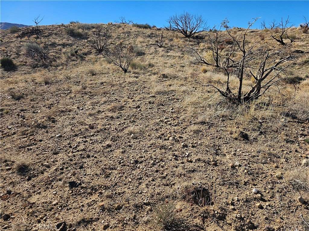 2.54 Acres of Residential Land for Sale in Juniper Hills, California