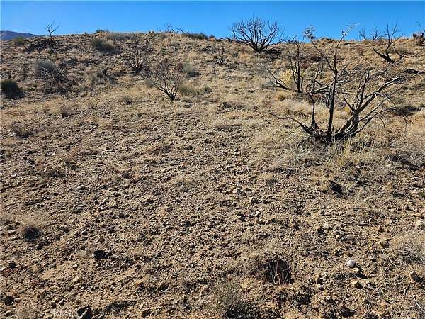 2.54 Acres of Residential Land for Sale in Juniper Hills, California