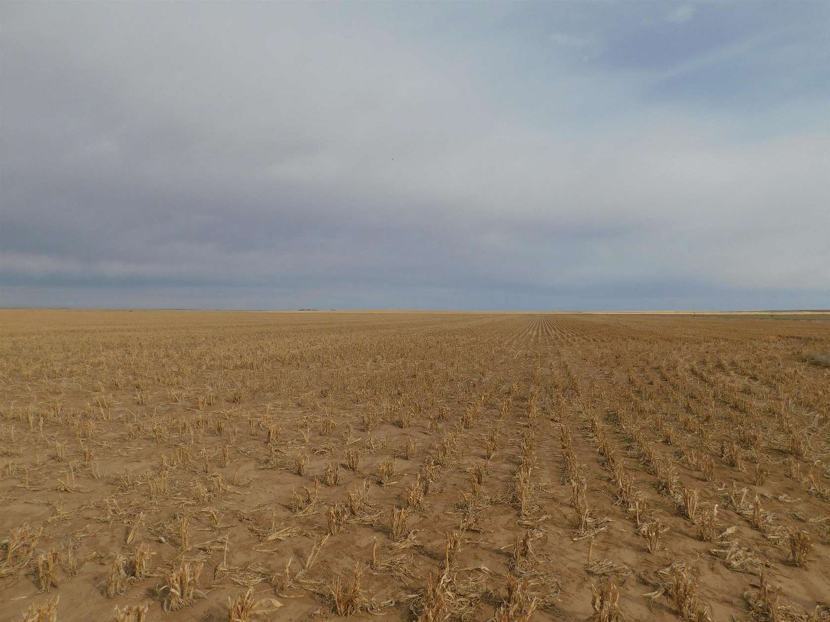 160 Acres of Agricultural Land for Sale in Guymon, Oklahoma