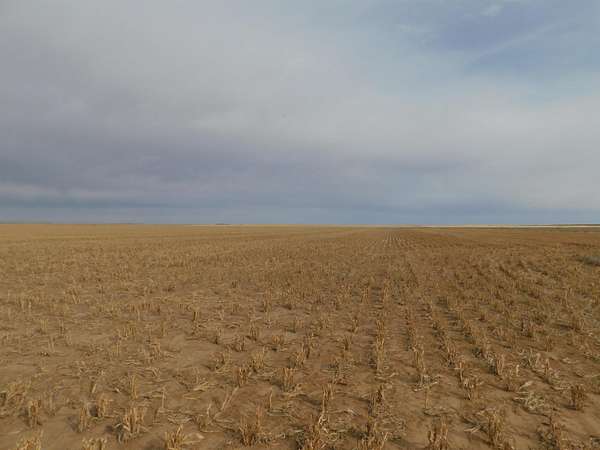 160 Acres of Agricultural Land for Sale in Guymon, Oklahoma