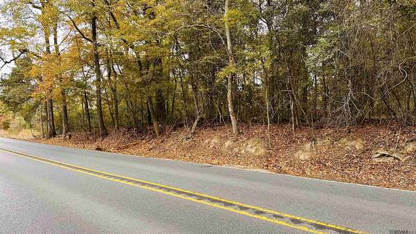 2 Acres of Residential Land for Sale in Denham Springs, Louisiana