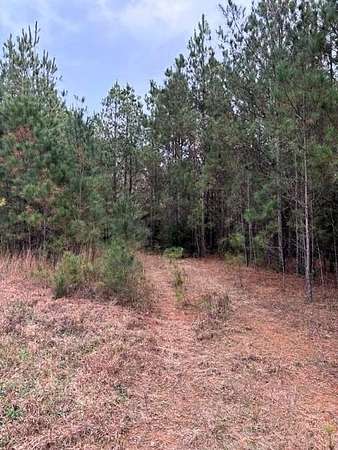 15 Acres of Land for Sale in Edgefield, South Carolina