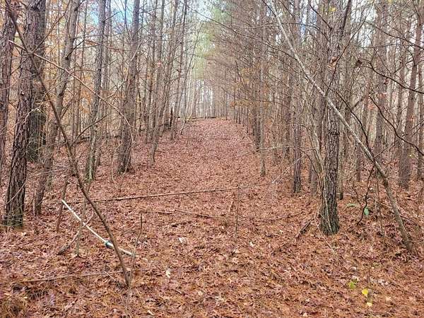 18.2 Acres of Land for Sale in Ellijay, Georgia