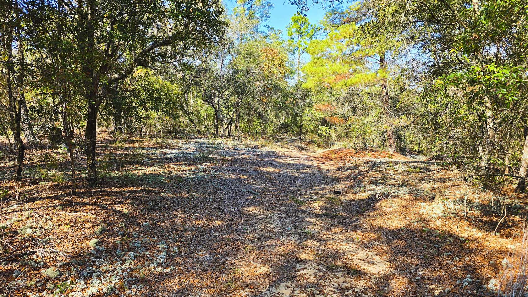 0.3 Acres of Residential Land for Sale in Hawthorne, Florida