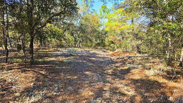 0.3 Acres of Residential Land for Sale in Hawthorne, Florida