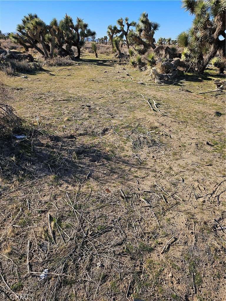 1.29 Acres of Commercial Land for Sale in Juniper Hills, California