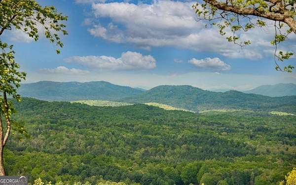 1 Acre of Residential Land for Sale in Morganton, Georgia