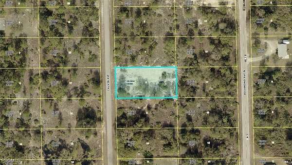 0.5 Acres of Residential Land for Sale in Lehigh Acres, Florida