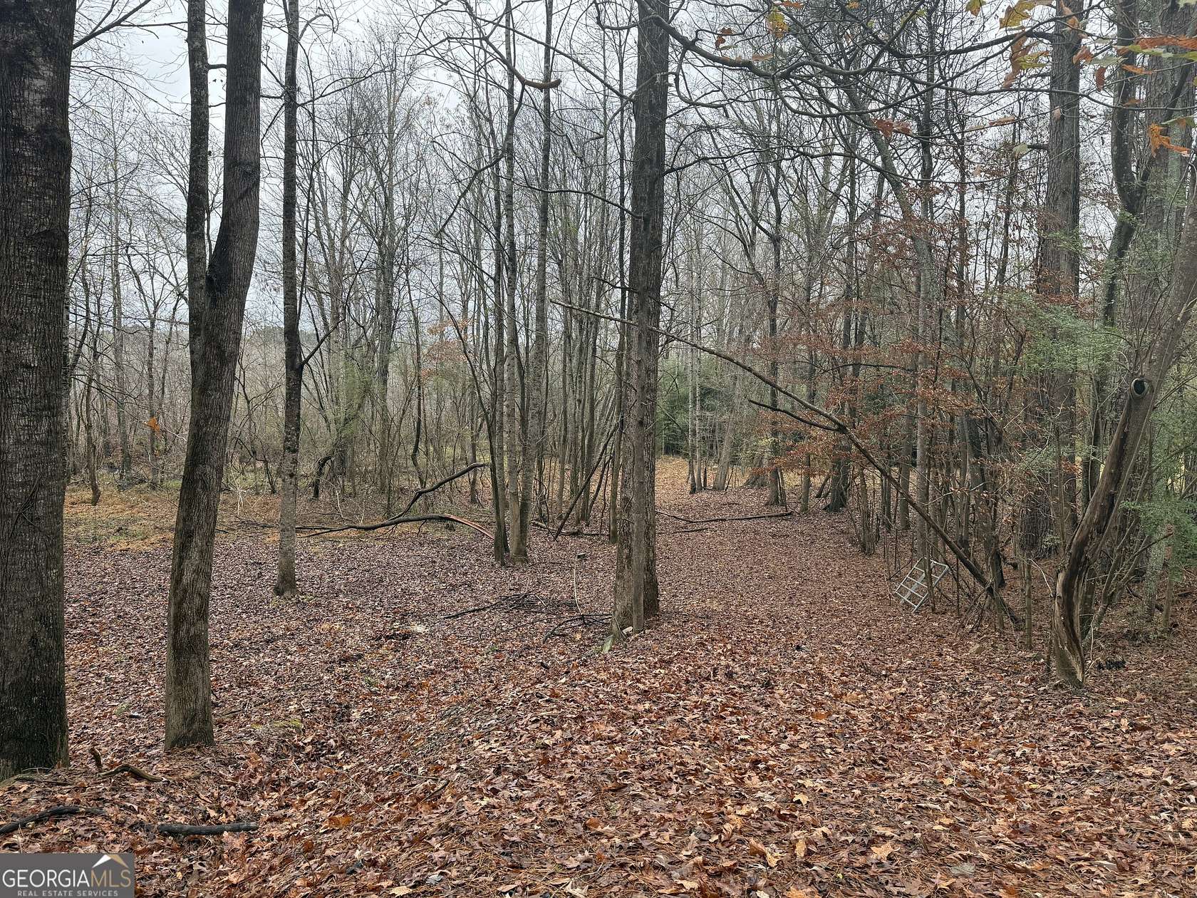 20.3 Acres of Recreational Land for Sale in Griffin, Georgia