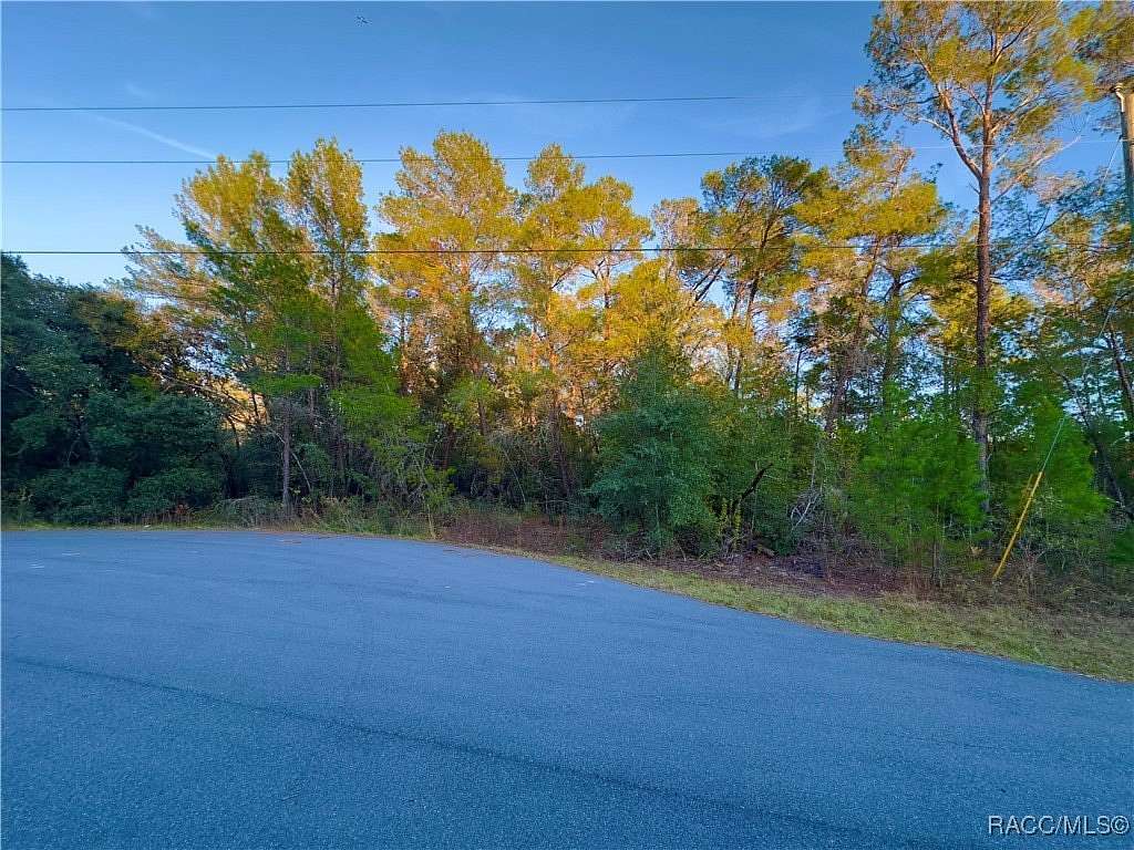 0.42 Acres of Land for Sale in Citrus Springs, Florida