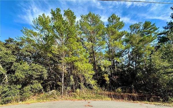 0.42 Acres of Land for Sale in Citrus Springs, Florida