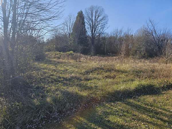 6.76 Acres of Residential Land for Sale in Palmer, Tennessee