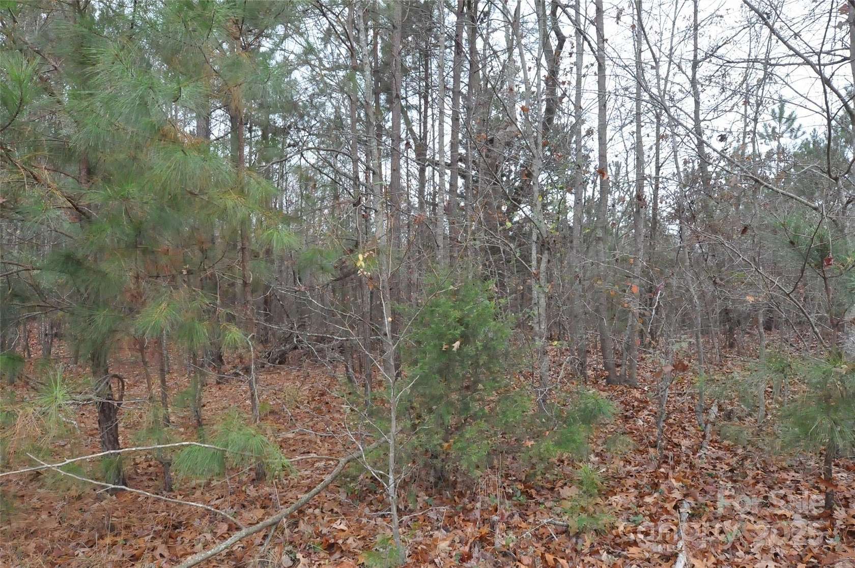 3.84 Acres of Land for Sale in Blackstock, South Carolina