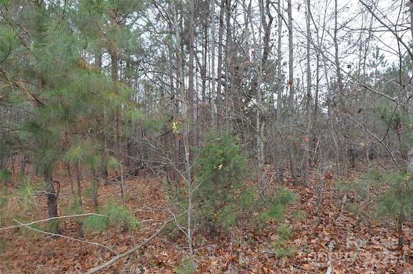 3.84 Acres of Land for Sale in Blackstock, South Carolina