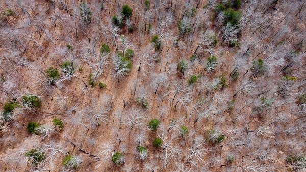 121 Acres of Recreational Land for Sale in Berryville, Arkansas