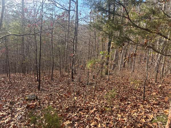 10.5 Acres of Recreational Land for Sale in Fredericktown, Missouri