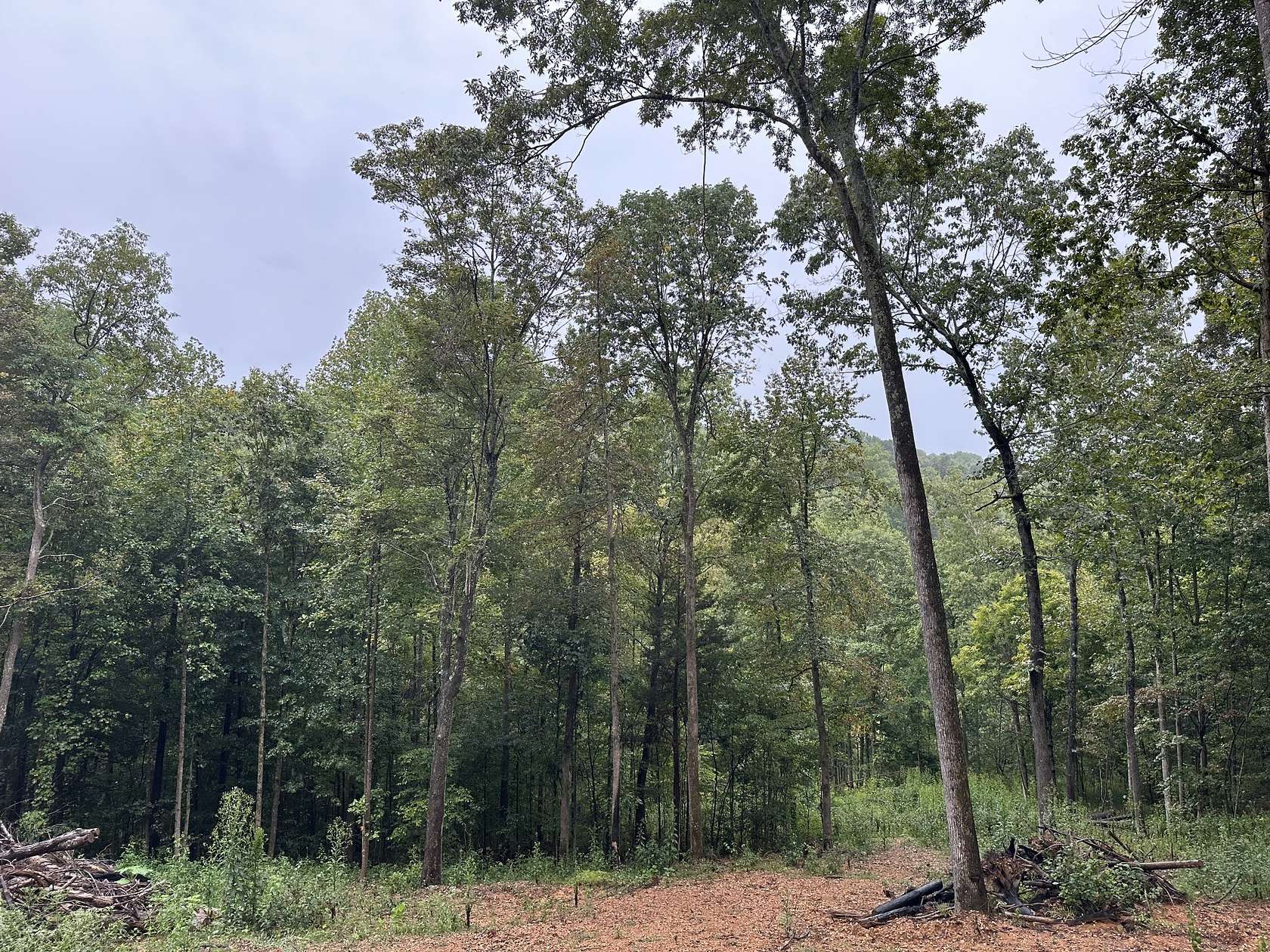 5.82 Acres of Residential Land for Sale in Bethpage, Tennessee