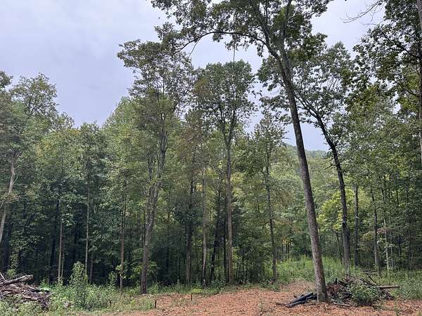 5.82 Acres of Residential Land for Sale in Bethpage, Tennessee