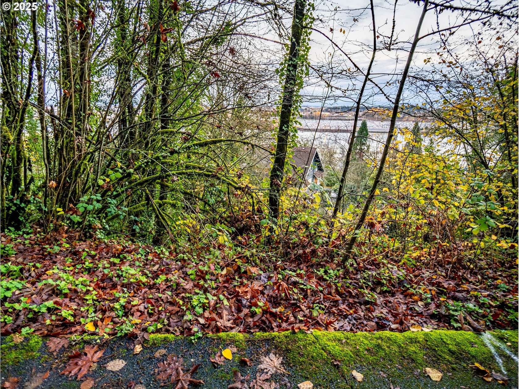 0.23 Acres of Residential Land for Sale in Portland, Oregon