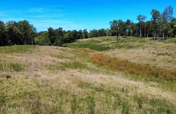 29.5 Acres of Land for Sale in Monterey, Tennessee