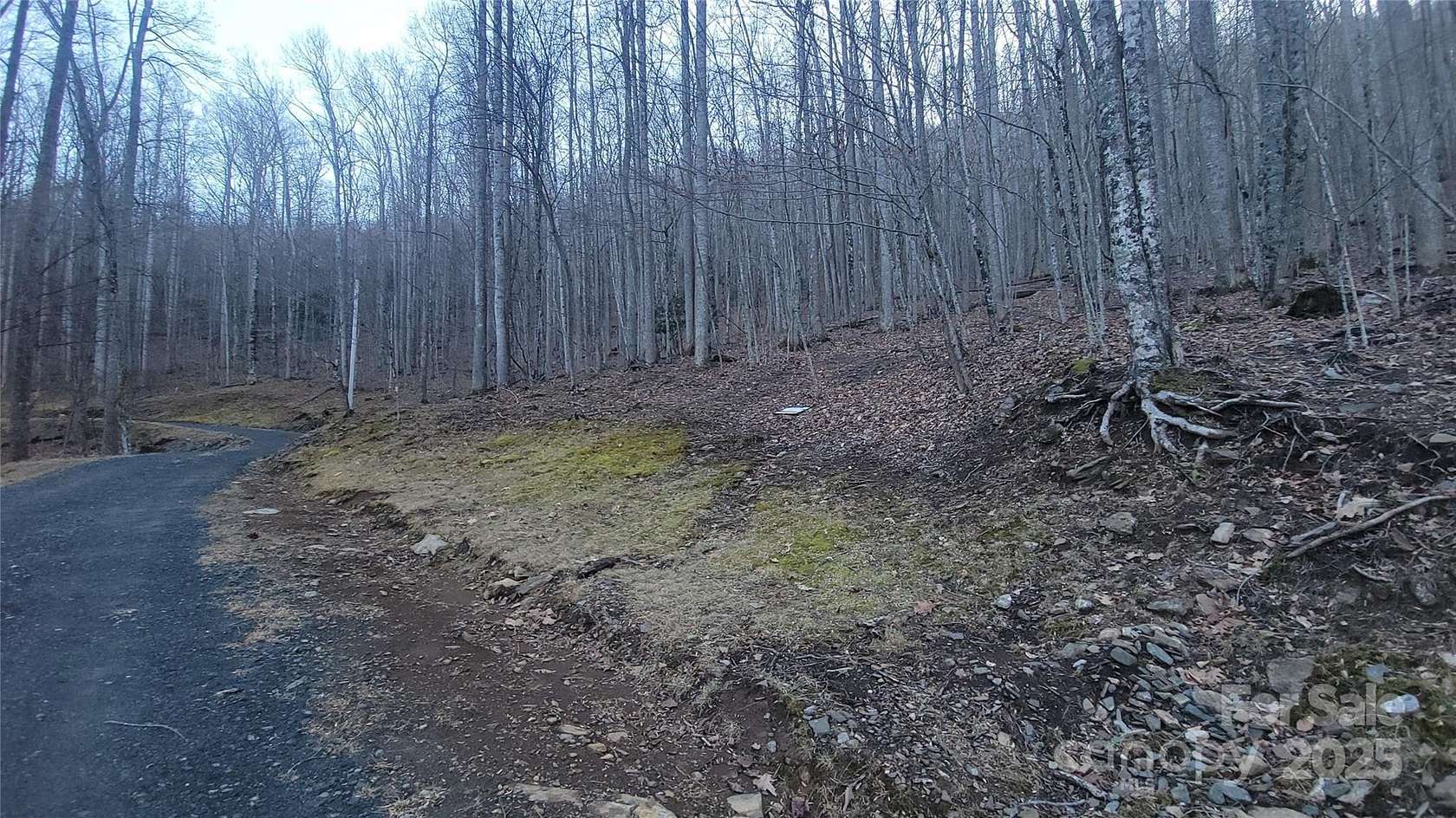 6 Acres of Residential Land for Sale in Burnsville, North Carolina