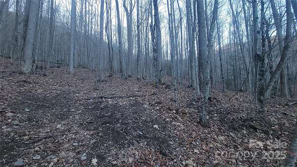 6 Acres of Residential Land for Sale in Burnsville, North Carolina