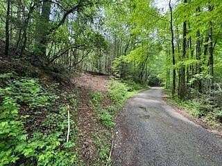 3.83 Acres of Residential Land for Sale in Dahlonega, Georgia