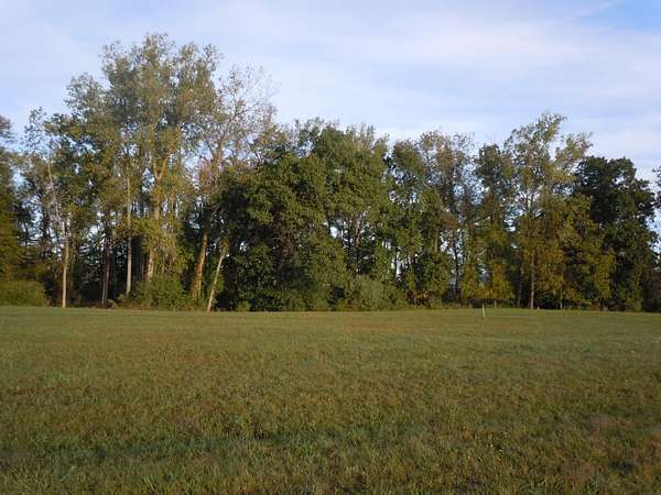 Land for Sale in Coldwater, Michigan