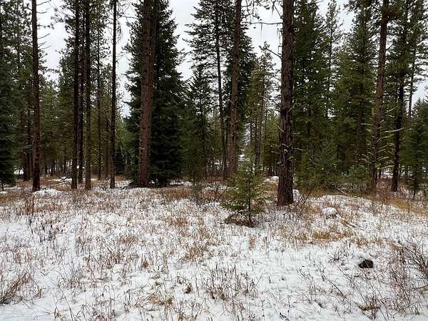 2.25 Acres of Land for Sale in McCall, Idaho
