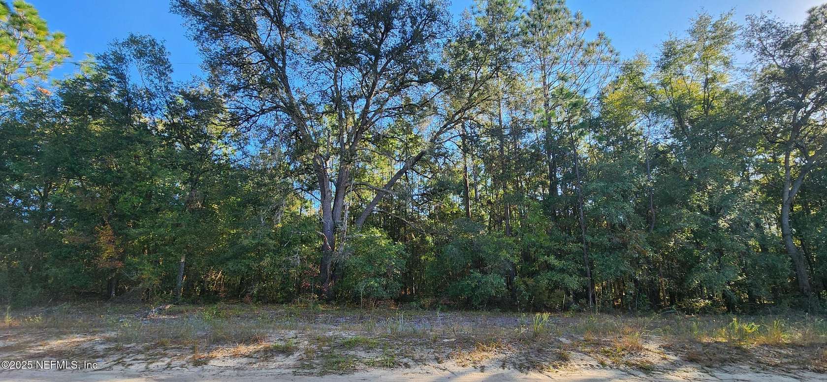 6.64 Acres of Land for Sale in Keystone Heights, Florida