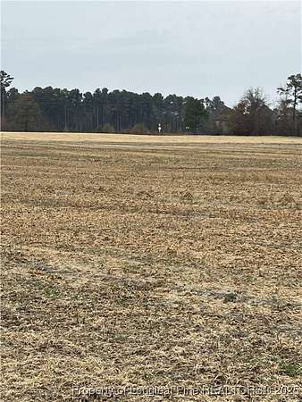 4.2 Acres of Residential Land for Sale in Red Springs, North Carolina