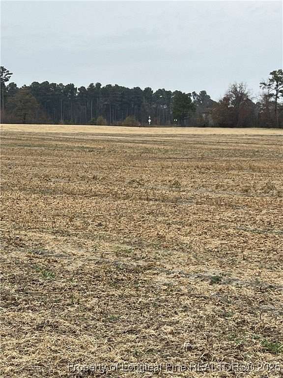 4 Acres of Residential Land for Sale in Red Springs, North Carolina