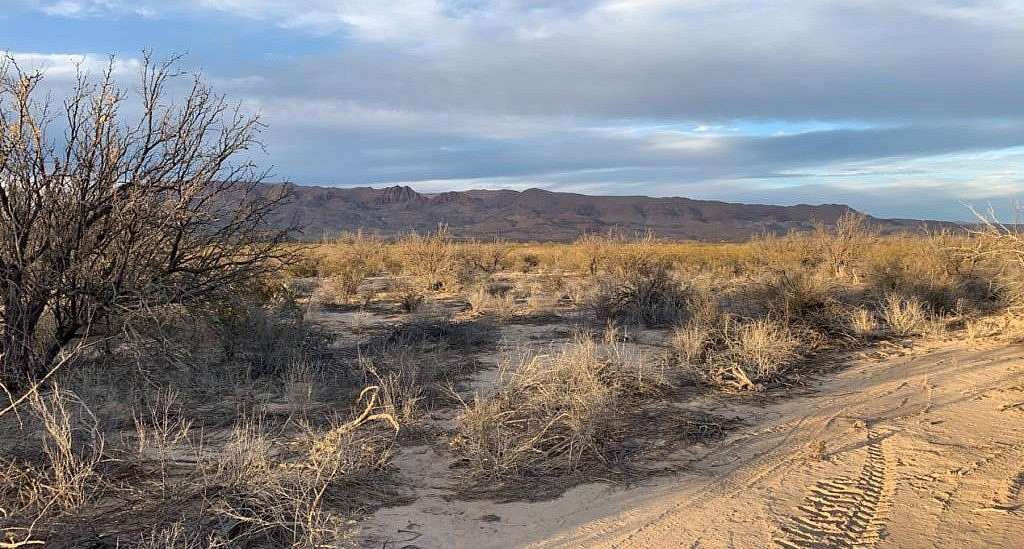 5 Acres of Residential Land for Sale in Terlingua, Texas