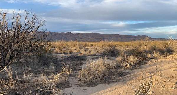 5 Acres of Residential Land for Sale in Terlingua, Texas