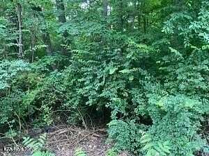 0.74 Acres of Residential Land for Sale in Knoxville, Tennessee