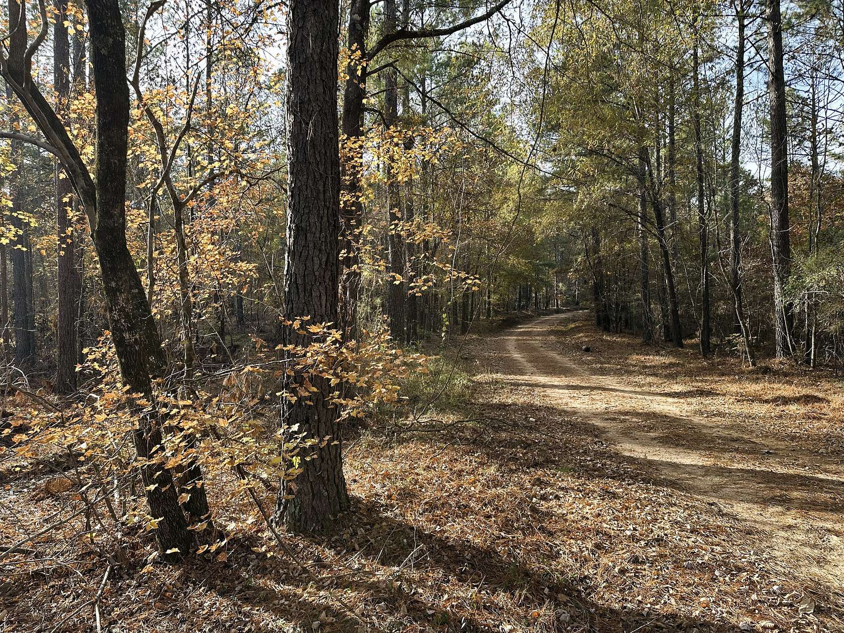 289 Acres of Recreational Land for Sale in Callison, South Carolina