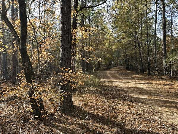 289 Acres of Recreational Land for Sale in Callison, South Carolina