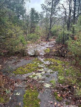 5.1 Acres of Land for Sale in Columbus, Georgia