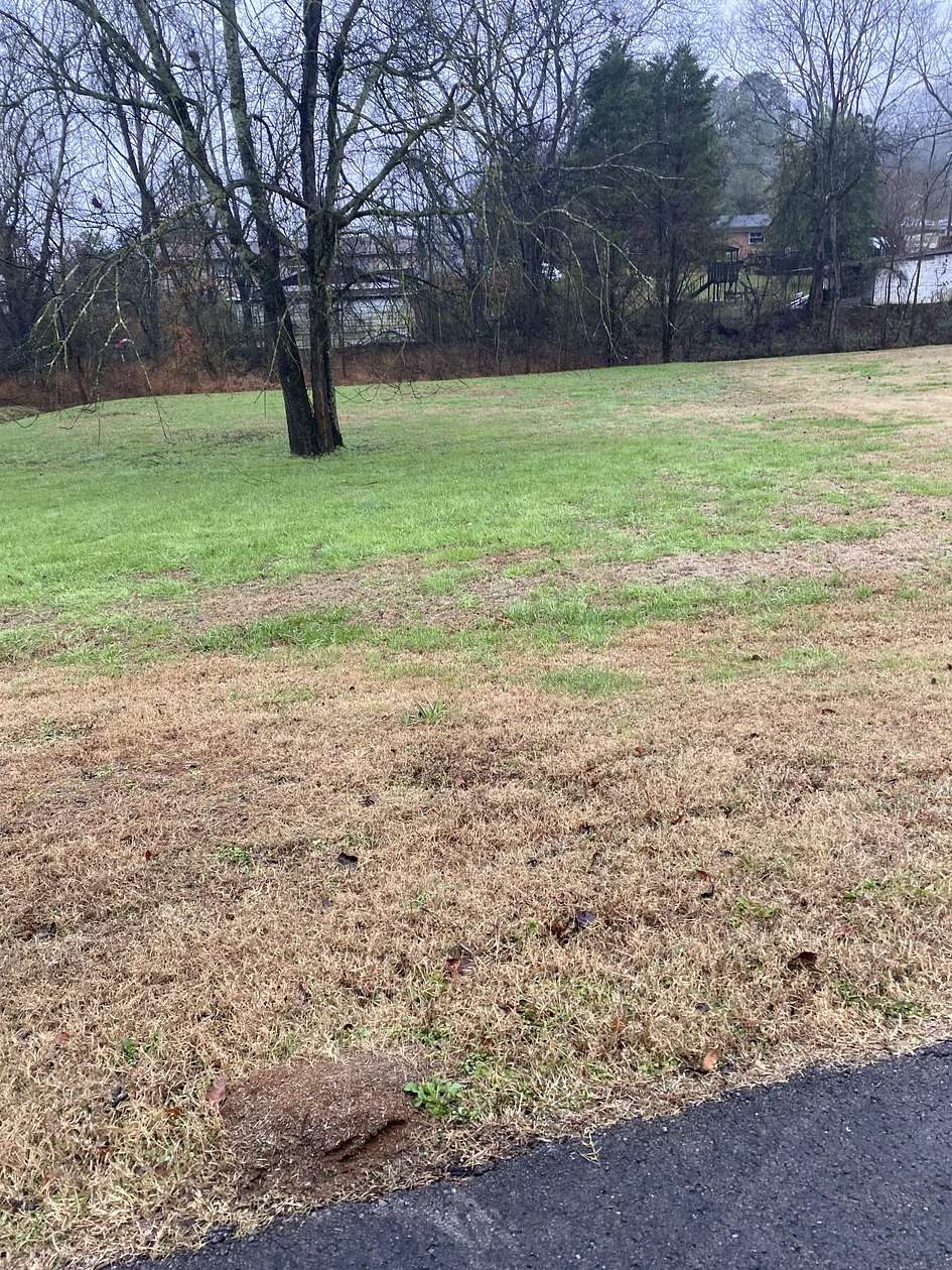 0.47 Acres of Residential Land for Sale in Pulaski, Tennessee