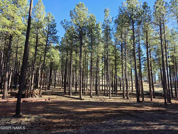1 Acre of Land for Sale in Parks, Arizona