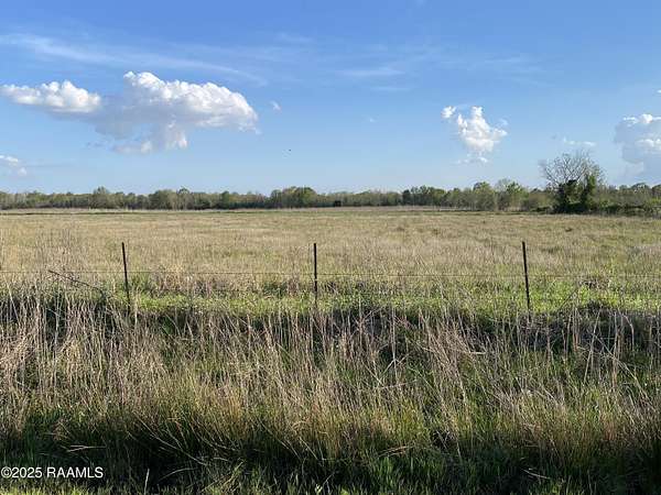 23 Acres of Land for Sale in Kaplan, Louisiana