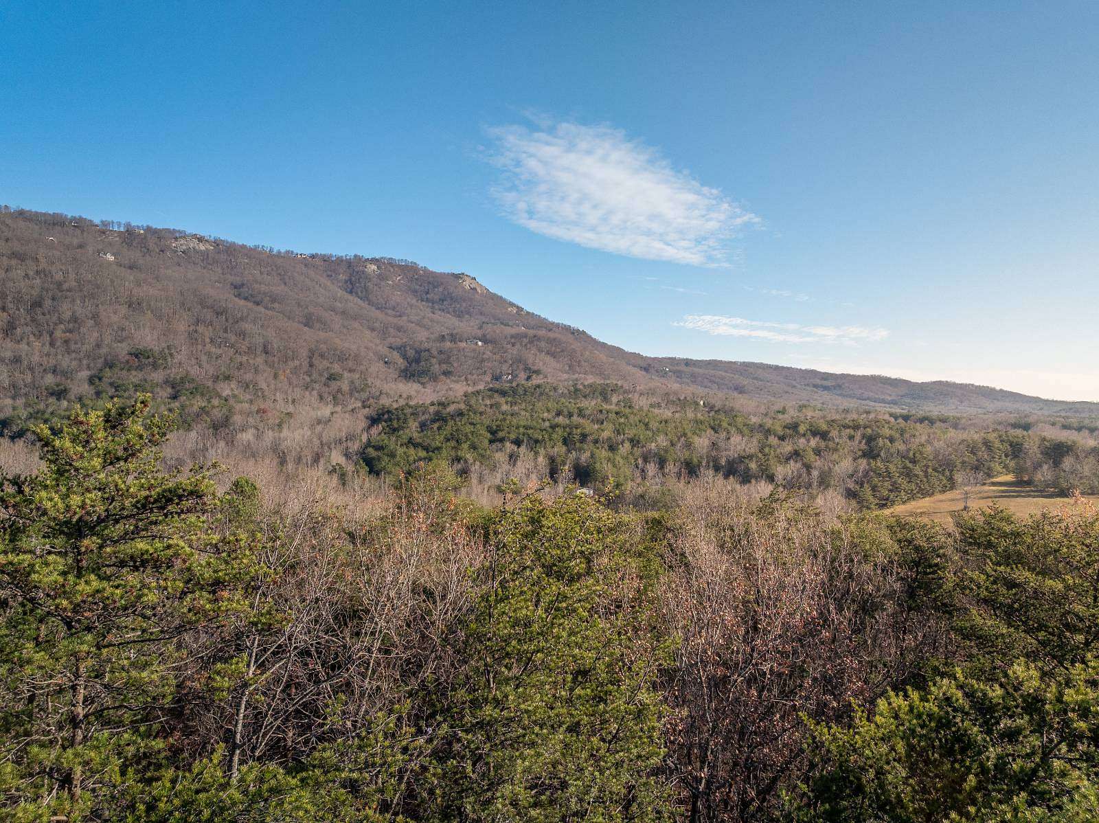 19.8 Acres of Agricultural Land for Sale in Landrum, South Carolina