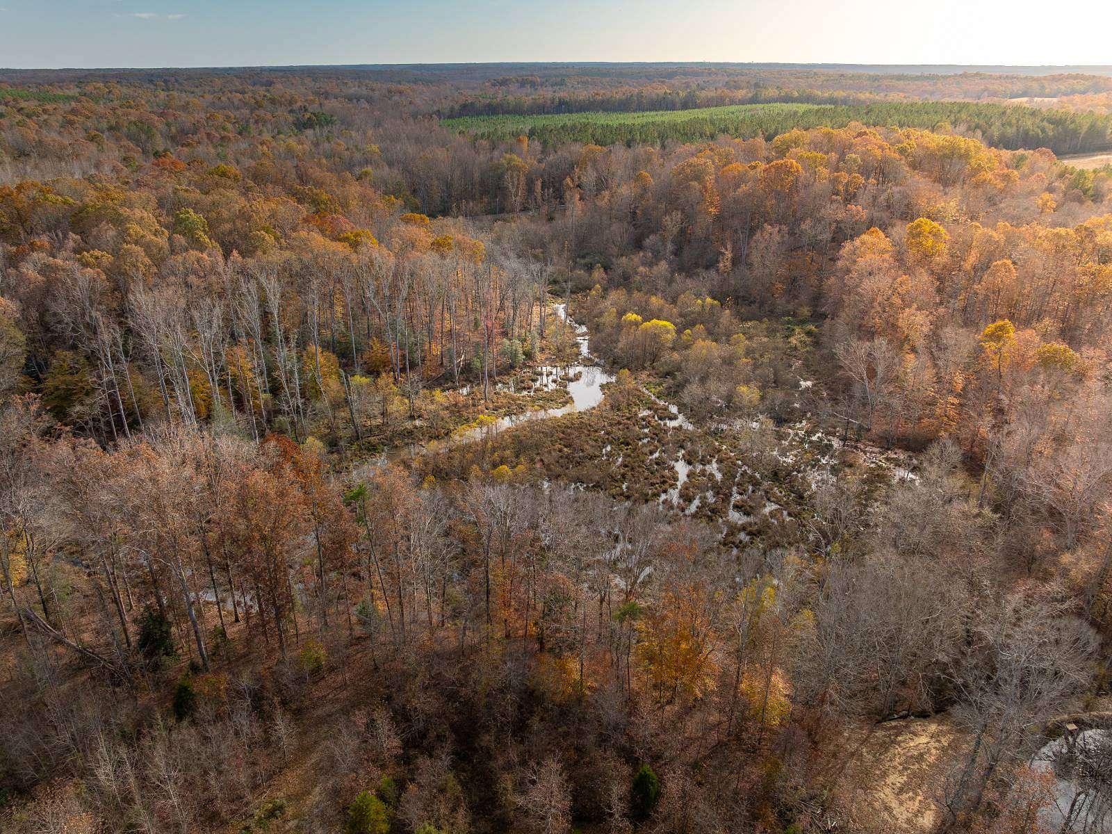 17.7 Acres of Land for Sale in Belton, South Carolina