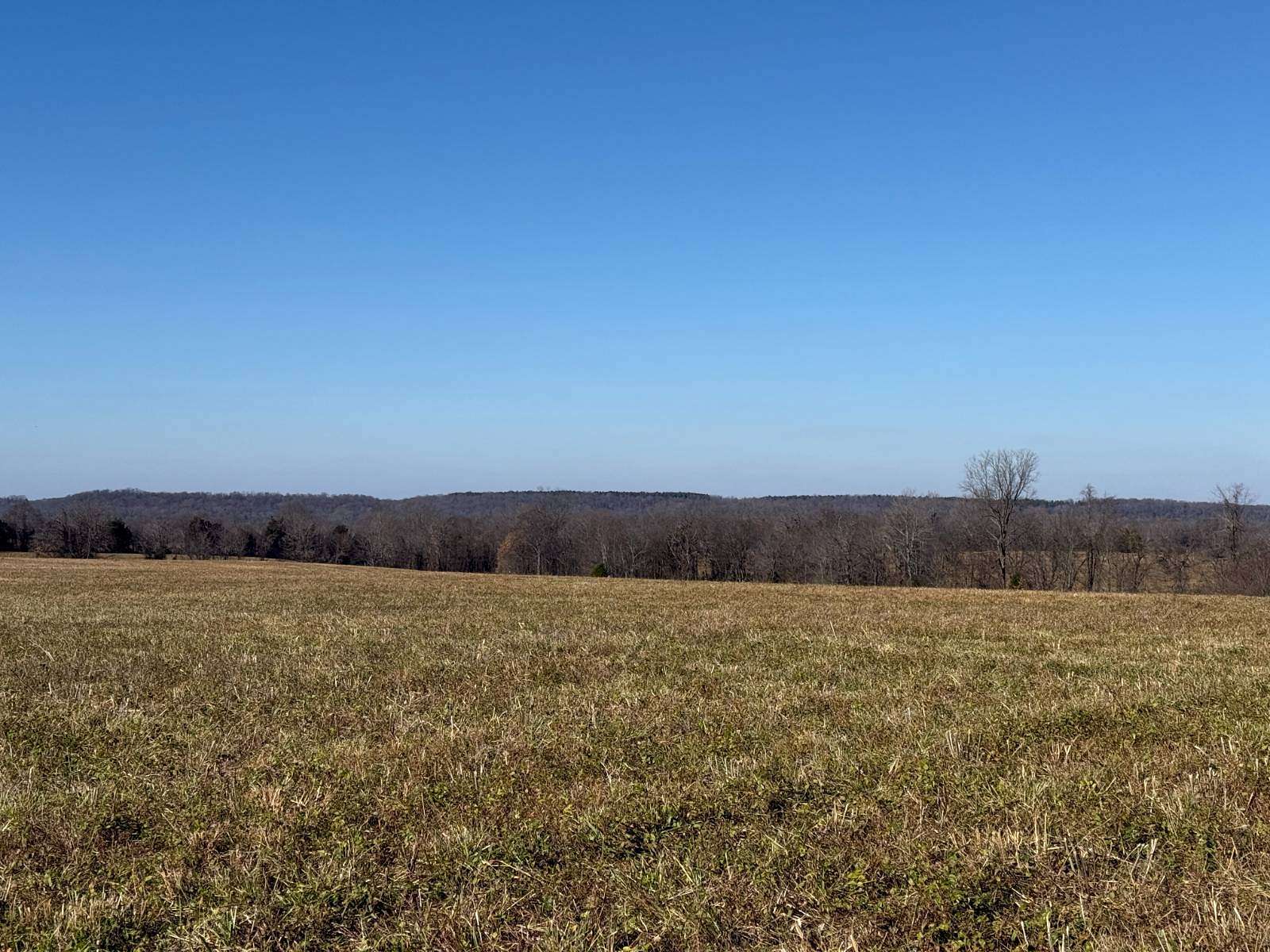 190 Acres of Land for Sale in Golconda, Illinois