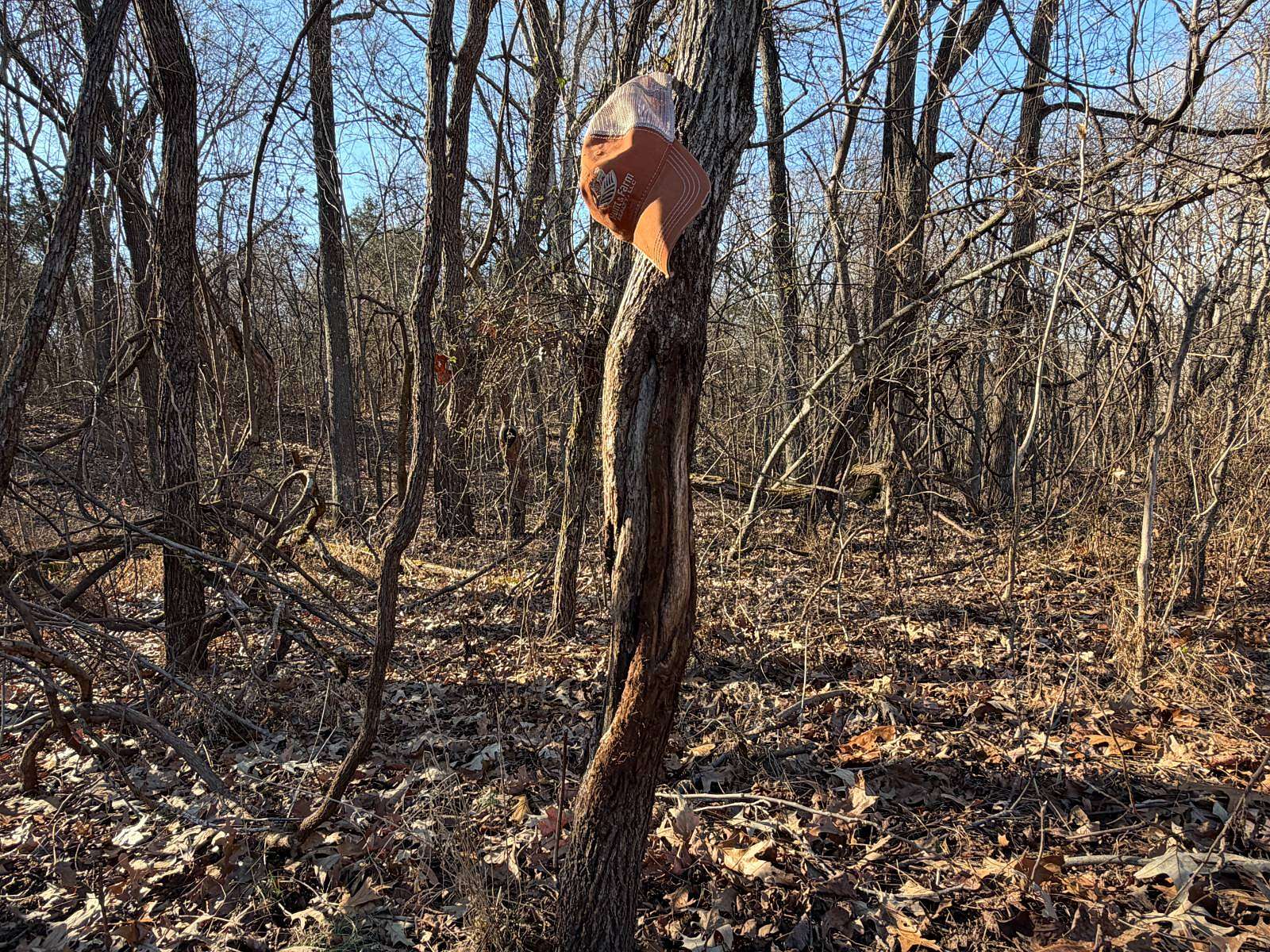 190 Acres of Land for Sale in Golconda, Illinois