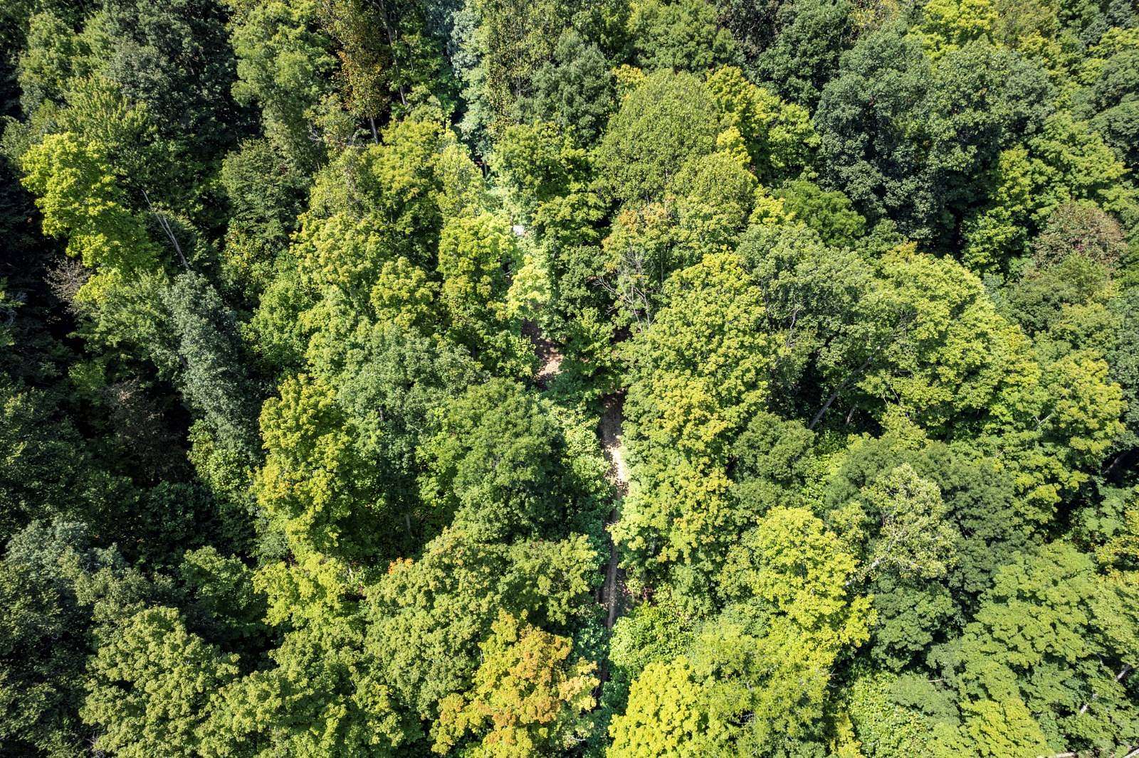 11.3 Acres of Recreational Land for Sale in Peebles, Ohio